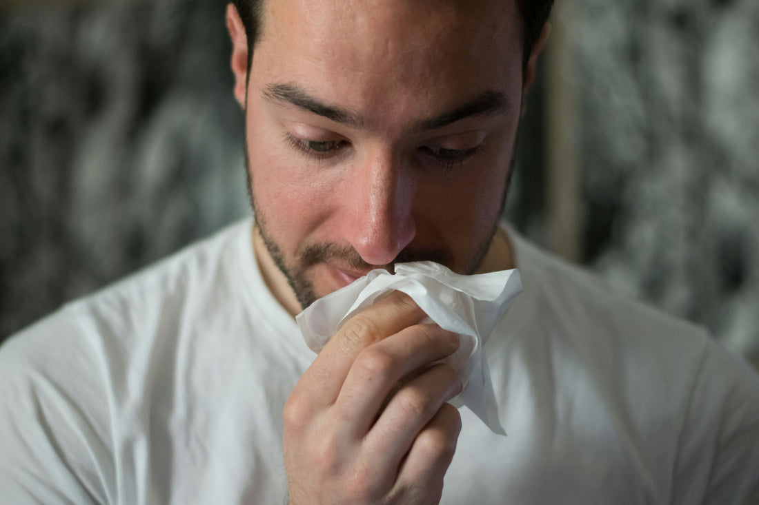 HistShield Pro – Natural Allergy Relief for Spring&nbsp;