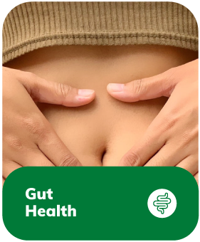 Digestive Wellness