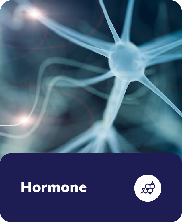 Hormonal Balance - Boost your Vitality